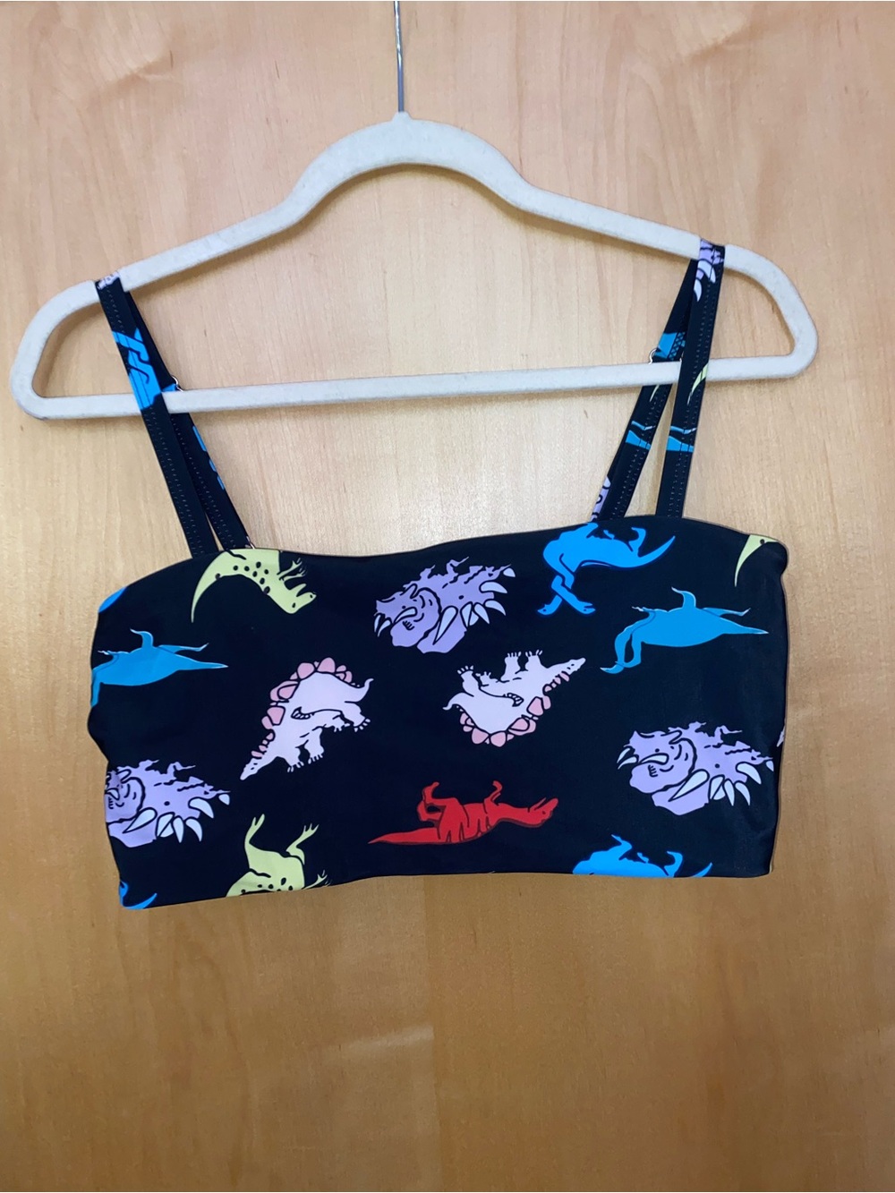 Black Colorful Dinosaur Print Crop Bandeau Bikini Swim Top 1XL